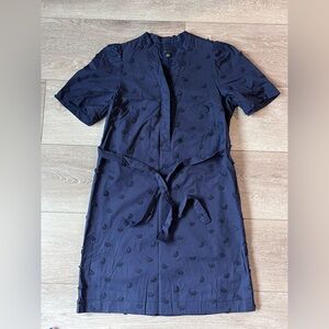 Ann Taylor Dress